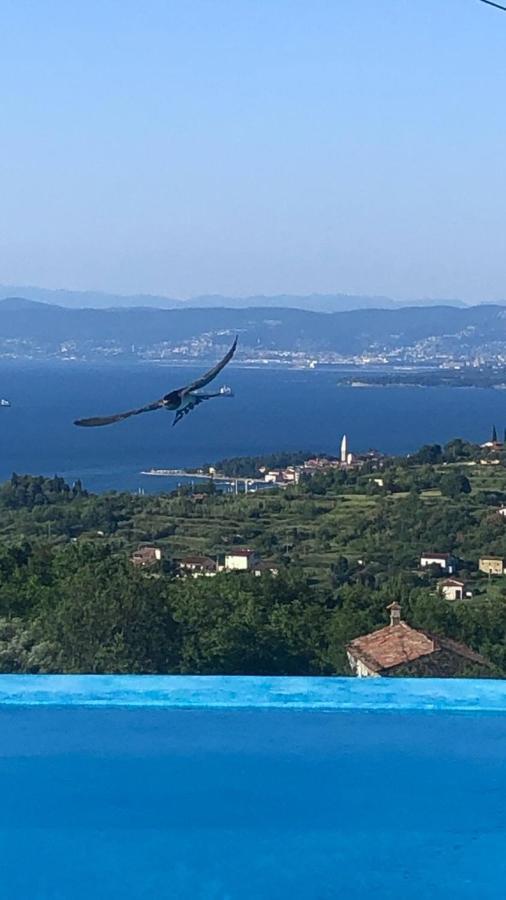 Apartmaji Meli Pu Izola Bagian luar foto