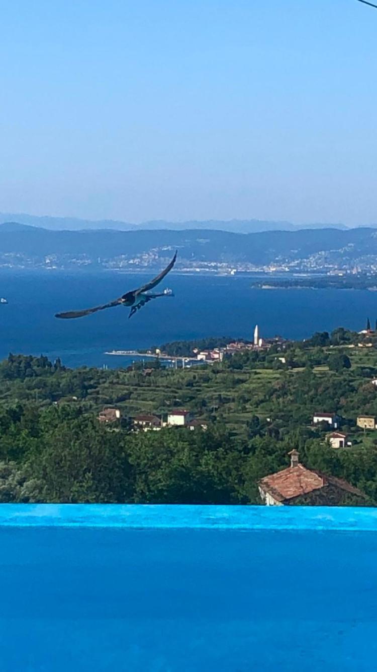 Apartmaji Meli Pu Izola Bagian luar foto